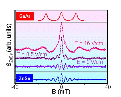Spin signals measured in ZnSe under different applied electric fields during biased spin transfer experiments. Increasing electric field strength enhances the transferred spin polarization detected near zero magnetic field, demonstrating electric-field-controlled spin injection and transport.