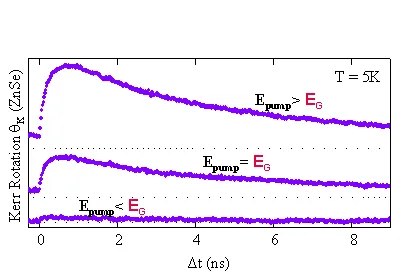 Time-resolved Kerr rotation signals in ZnSe measured at 5 K following spin excitation in GaAs. The traces show spontaneous spin transfer and coherent spin polarization detected in ZnSe for different optical excitation conditions.