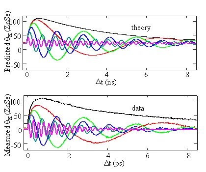 Comparison of theoretical and experimental Kerr rotation signals during spontaneous spin transfer from GaAs to ZnSe. Multiple colored traces show coherent spin precession dynamics and phase evolution, demonstrating agreement between measured data and spin transfer theory.