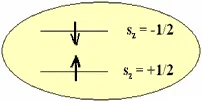 Simple spin energy-level diagram illustrating electron spin coherence. Two quantum spin states, sz = +1/2 and sz = −1/2, are separated by an energy gap, representing spin splitting under an applied magnetic field used in coherent spin manipulation experiments.