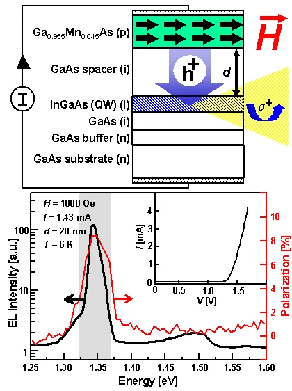 Schematic and measurements of electrical spin injection from a ferromagnetic semiconductor into a quantum well light-emitting structure. Circularly polarized electroluminescence measured at 6 K and 1000 Oe demonstrates spin-polarized hole injection from GaMnAs into InGaAs/GaAs layers under applied current and magnetic field.