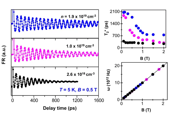 Time-resolved Faraday rotation measurements in ZnO at 5 K and 0.5 T for three carrier concentrations. Oscillatory spin coherence signals persist over nanoseconds, while plots of spin dephasing time T2* and Larmor frequency versus magnetic field show long-lived coherent spin precession approaching room-temperature-relevant behavior.