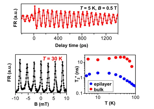 Room-temperature spin coherence measurements in ZnO comparing epilayer and bulk samples. Time-resolved Faraday rotation and magnetic-field scans show coherent spin precession at low temperatures, while the T2* versus temperature plot demonstrates nanosecond-scale spin coherence maintained up to nearly 100 K.