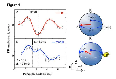 Time-resolved Kerr rotation measurements demonstrating ultrafast single-spin manipulation in a quantum dot at 10 K and 715 G magnetic field. Pump–probe signals show spin precession before and after an ultrafast tipping pulse, while Bloch sphere diagrams illustrate coherent optical rotation and control of a single electron spin state.