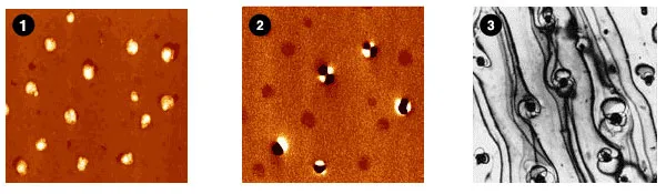 Series of microscopy images showing nanometer-scale magnetic structures and domain behavior. The panels include patterned magnetic dots, magnetic force microscopy contrast, and elongated magnetic nanostructures used to study nanoscale magnetic interactions and switching.