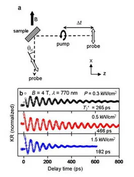 Pump–probe Kerr rotation setup and measurements of spin coherence in a microcavity under magnetic field. Oscillatory Kerr rotation signals show coherent electron spin precession with coherence times that vary with optical excitation power.