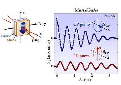 Time-resolved spin dynamics measurements in an MnAs/GaAs ferromagnetic diode at 5 K. The figure compares spin precession signals generated by circularly polarized (CP) and linearly polarized (LP) optical pump excitation under an applied magnetic field.
