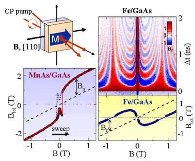 Time-resolved spin measurements and magnetic field sweeps in Fe/GaAs and MnAs/GaAs ferromagnetic diode structures. The figure shows Faraday rotation maps, hysteresis behavior, and nuclear magnetic field effects during spin injection experiments.