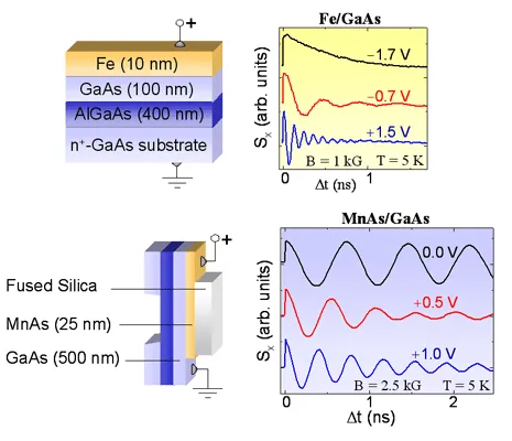 Device schematics and spin dynamics data for electrically biased Fe/GaAs and MnAs/GaAs ferromagnetic diode structures. The plots show voltage-dependent spin precession and spin polarization behavior measured through time-resolved optical techniques.