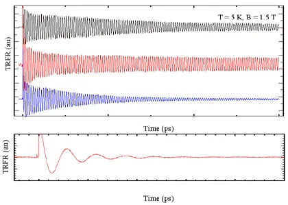 Time-resolved Faraday rotation measurements in GaN at 5 K and 1.5 T magnetic field. Oscillating decay signals show coherent electron spin precession and dephasing over time, demonstrating long-lived spin coherence and ultrafast spin dynamics in gallium nitride.