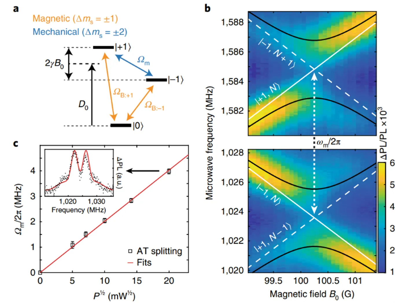 Spin-phonon coupling in silicon carbide defects. Energy diagrams show magnetic and mechanical spin transitions, while spectra and splitting measurements show avoided crossings and power-dependent coupling between defect spins and acoustic modes.
