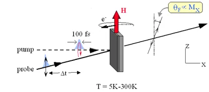 Experimental geometry for ultrafast electron spin coherence measurements. A pump-probe laser setup excites spins in a sample within an applied magnetic field, while the diagram indicates spin precession, optical timing delays, and measurement orientation across temperatures from 5 K to 300 K.