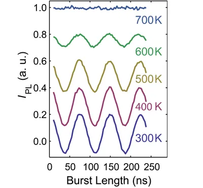 Photoluminescence intensity versus burst length for a single NV center measured from 300 K to 700 K. Oscillating curves show coherent spin control at elevated temperatures, with signal contrast decreasing as temperature increases.