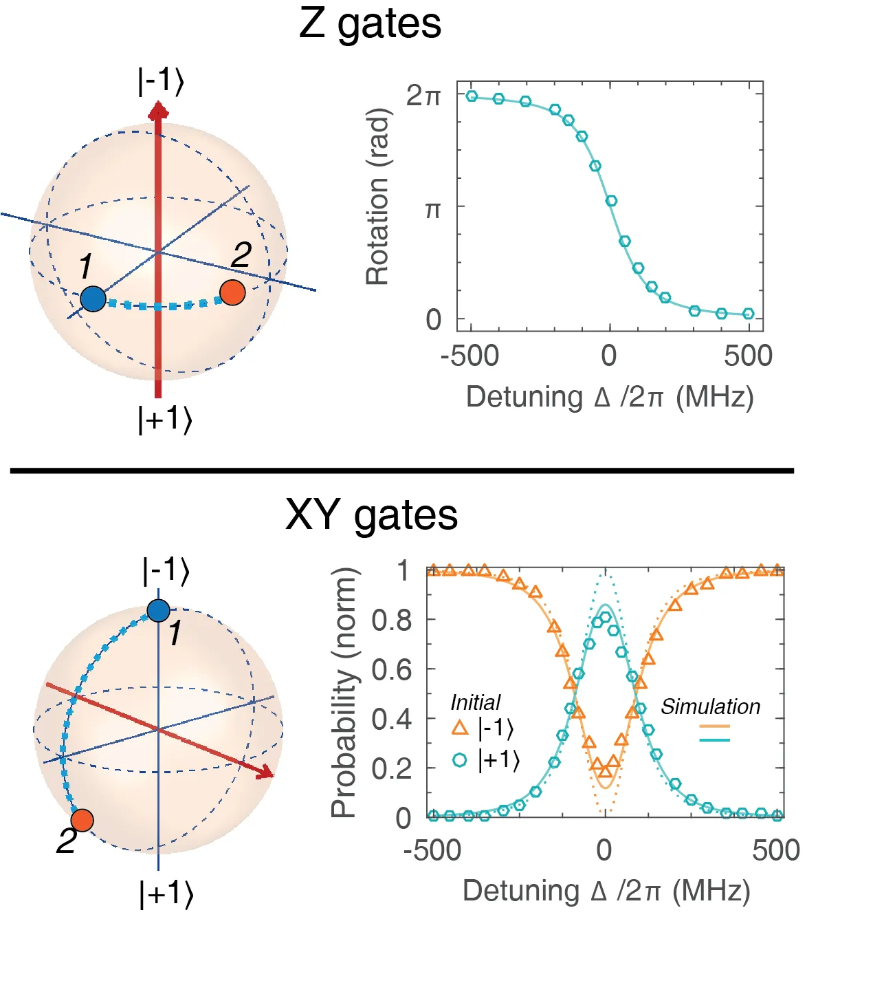 Bloch sphere representations and experimental measurements of all-optical holonomic single-qubit gates. Z and XY gate operations are shown with corresponding rotation and state probability as functions of optical detuning, demonstrating controlled geometric qubit manipulation.