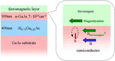 Schematic of a ferromagnetic imprinting structure consisting of a ferromagnetic layer on n-type GaAs and AlGaAs. The diagram illustrates magnetization-induced effective magnetic fields and spin polarization effects within the semiconductor layer.