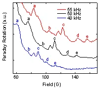 Faraday rotation spectra measured at multiple modulation frequencies in a ferromagnetic imprinting experiment. Resonance peaks labeled across the magnetic field range indicate frequency-dependent spin and magnetic coupling behavior.