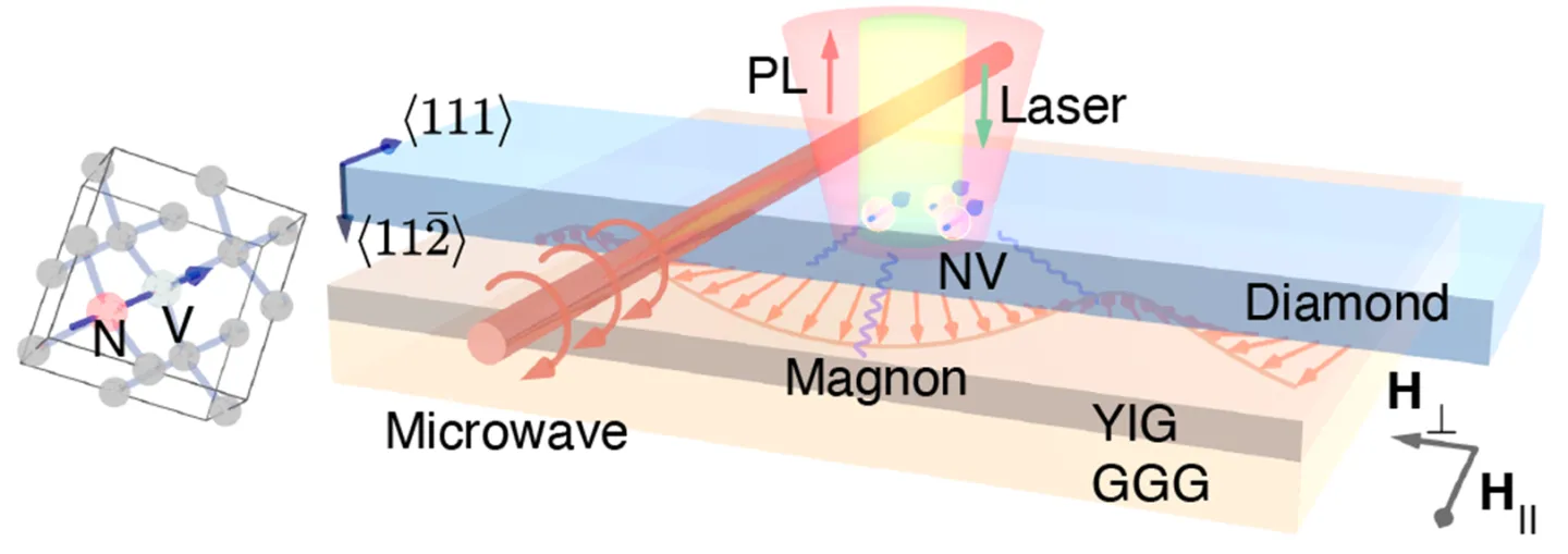 Schematic of measure the magnon-induced self energy of NV centers in an ensemble placed in proximity to a bulk film of YIG
