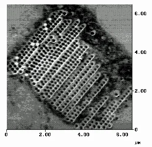 Magnetic force microscopy (MFM) image of an ordered array of nanometer-scale magnetic elements. Bright and dark contrast patterns reveal magnetic domain configurations and interactions within the nanoscale magnet array.