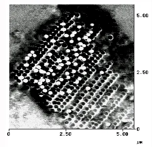 Magnetic force microscopy (MFM) image showing complex magnetic domain patterns in nanometer-scale magnetic structures. Variations in contrast indicate localized magnetic orientations and magnetic coupling effects across the patterned array.