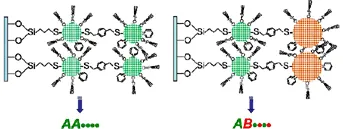 Schematic illustration of molecular bridges connecting semiconductor quantum dots. The left panel shows identical quantum dots linked by molecular chains, while the right panel shows coupling between different-sized quantum dots. The diagram highlights charge and spin transfer pathways enabled by molecularly mediated electronic coupling between nanocrystals.