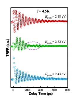 Time-resolved Faraday rotation measurements for molecularly bridged quantum dots probed at multiple energies. Changes in spin precession amplitude and frequency demonstrate energy-dependent spin coupling and carrier transfer between linked nanocrystals.