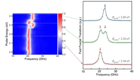 Frequency-resolved spin dynamics in molecularly bridged quantum dots. A two-dimensional spectral map and Fourier transforms show multiple spin precession modes arising from coherent coupling and charge transfer between connected quantum dots.