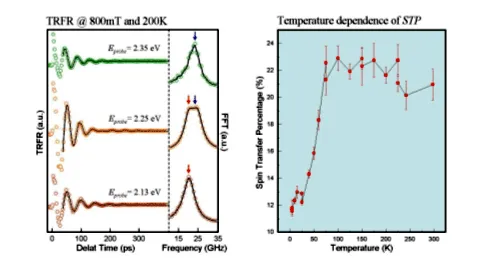 Temperature-dependent spin coherence measurements in molecularly bridged quantum dots. Time-resolved Faraday rotation traces and spin transfer efficiency plots show robust coherent spin transfer across varying probe energies and temperatures.