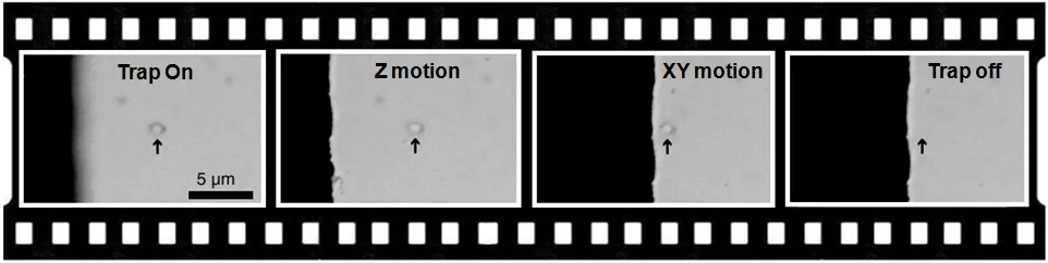 Filmstrip sequence showing a trapped nanodiamond during optical manipulation. Frames labeled “Trap On,” “Z motion,” “XY motion,” and “Trap off” demonstrate stable three-dimensional control of a nanodiamond used for magnetic sensing in an optical trap.