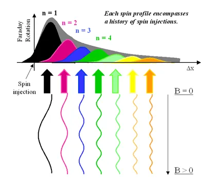 Equation describing spin precession frequency during coherent transport: ω = gμBB(Δt + ntrep)/ħ. The relation links spin dynamics to magnetic field strength, pulse repetition timing, and transport delay in macroscopic spin coherence experiments.