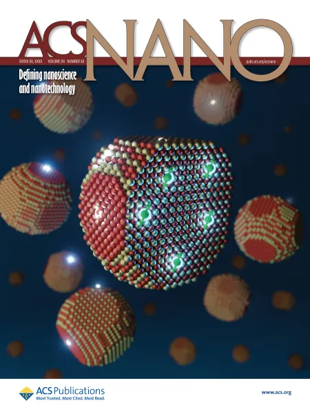 Cover of ACS Nano journal featuring a large multicolored nanoparticle cluster floating in a dark blue space-like background, surrounded by smaller patterned spherical nanoparticles. The journal title “ACS Nano” appears prominently across the top, with the subtitle “Defining nanoscience and nanotechnology.”