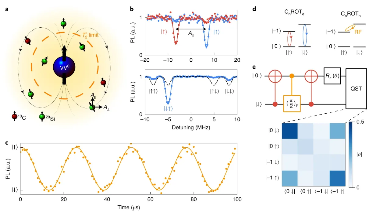 Diagram and spectroscopy data showing entanglement and coherent control between a silicon carbide divacancy electron spin and nearby nuclear spins. Plots display photoluminescence spectra, spin oscillations, and quantum gate operations used for nuclear spin initialization and tomography.
