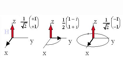 Bloch sphere illustrations showing coherent electron spin evolution. The sequence depicts quantum spin superposition and phase rotation about the z-axis, demonstrating how spin coherence and relative phase change during controlled quantum operations.