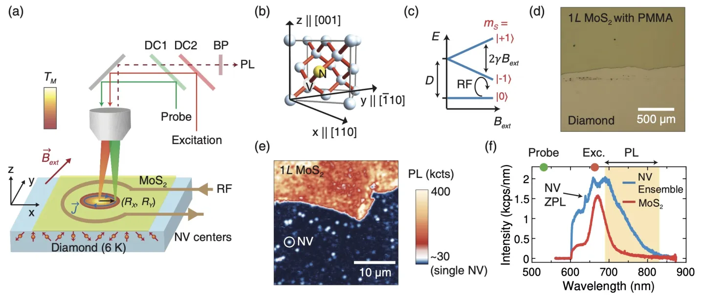 Multi-panel figure showing a hybrid quantum sensing platform combining monolayer MoS₂ and NV centers in diamond. Diagrams illustrate the device structure, crystal orientation, spin energy levels, optical image of the MoS₂ layer, photoluminescence mapping, and emission spectra. The setup enables nanoscale magnetic sensing and photocurrent imaging using NV center quantum probes.