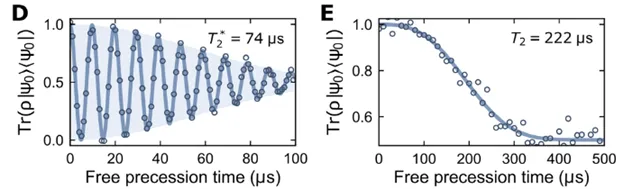 Free precession measurements showing coherent spin oscillations and spin echo decay in silicon carbide defects. Graphs display coherence times of 74 µs and 222 µs, demonstrating extended quantum coherence under protected spin control conditions.