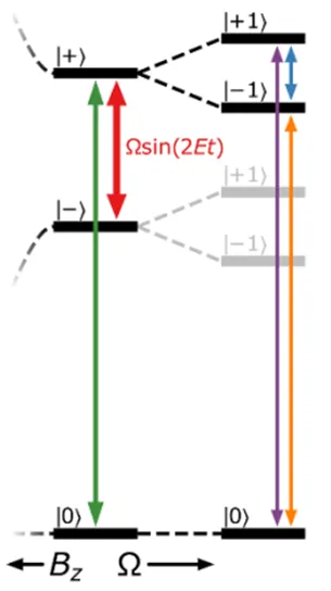 Energy-level diagram illustrating electrically driven coupling between spin states in silicon carbide defects. Colored arrows indicate optical and microwave transitions used to manipulate protected coherent superposition states under applied magnetic fields.