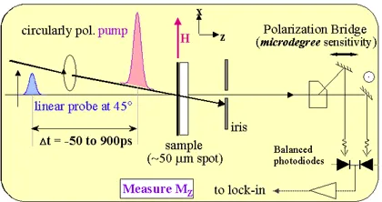 Schematic of a time-resolved Faraday rotation pump-probe experiment. A circularly polarized pump pulse excites spin polarization in a sample, while a delayed linearly polarized probe beam measures spin dynamics using a polarization bridge and balanced photodiodes.