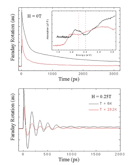 Time-resolved Faraday rotation measurements of chemically synthesized quantum dots at different magnetic fields and temperatures. Oscillating spin signals demonstrate coherent electron spin precession and long-lived spin dynamics in colloidal nanostructures.