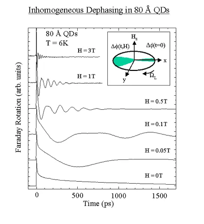 Faraday rotation traces showing magnetic-field-dependent spin dephasing in chemically synthesized quantum dots at 6 K. Increasing magnetic field produces stronger spin precession oscillations and reveals inhomogeneous spin coherence dynamics in nanocrystal ensembles.