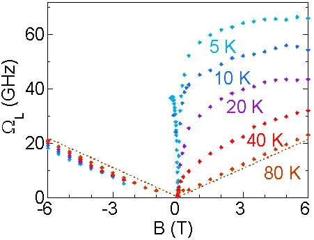 Plot of nuclear spin precession frequency versus magnetic field strength for a quantum well system at temperatures from 5 K to 80 K. The data illustrate temperature-dependent spin dynamics and magnetic resonance behavior.