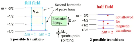Energy level diagram illustrating allowed nuclear spin transitions in all-optical NMR experiments within a quantum well. The figure compares full-field and half-field excitation conditions, showing quadrupole splitting and transition selection rules.