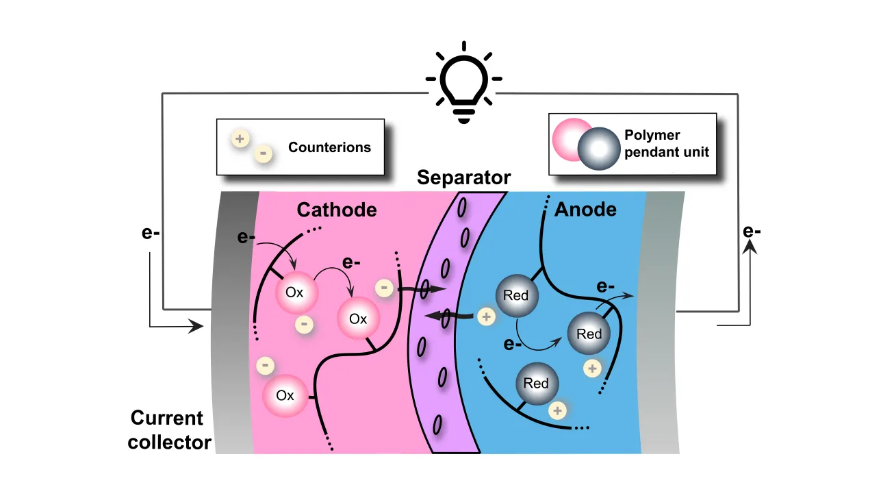 Cathode with counterions, a separator, and anode with polymer pendant unit