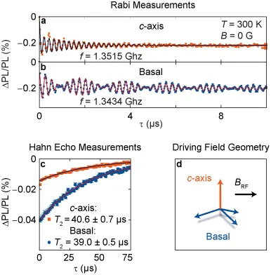 Rabi oscillation and Hahn echo measurements comparing c-axis and basal divacancy spin qubits in silicon carbide. Experimental data show coherent microwave-driven spin manipulation and coherence decay under different driving field geometries.
