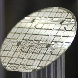 Photograph of a processed silicon carbide wafer containing patterned device structures used for defect spin qubit experiments and coherent quantum control measurements.