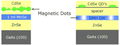 Comparative structure diagrams of magnetic semiconductor quantum dot systems. One structure contains CdSe magnetic dots with MnSe on ZnSe and GaAs substrates, while the other shows CdSe quantum dots coupled to a diluted magnetic heterostructure (DMH) quantum well.