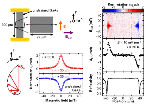 Experimental measurement of the spin Hall effect in strained GaAs. Device schematic, Kerr rotation maps, and magnetic-field scans show electrically generated spin accumulation at opposite channel edges under applied electric and magnetic fields.