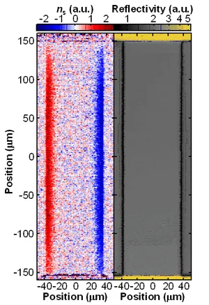 Spatial maps of spin density and reflectivity across a semiconductor channel showing spin Hall accumulation. Opposite spin polarizations appear near opposite sample edges, confirming transverse spin separation induced by electrical current flow.