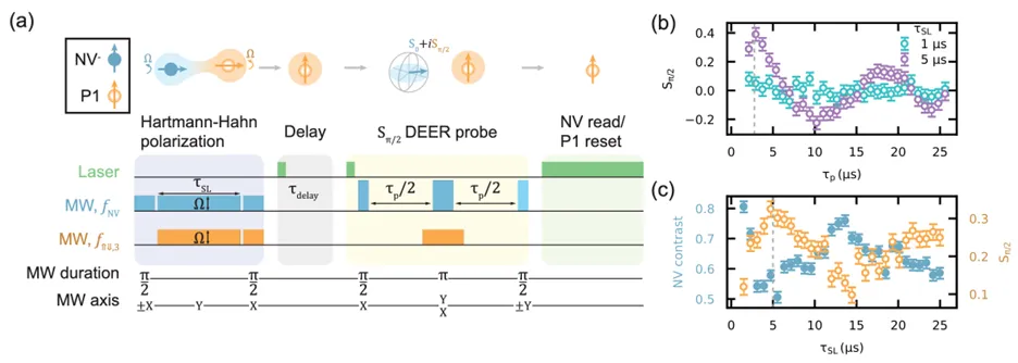 Experimental pulse sequence and measurement results for probing single charge dynamics with coupled NV and P1 spins. Hartmann-Hahn polarization transfer, DEER probing, and spin readout measurements track spin interactions and polarization changes over varying interaction times.