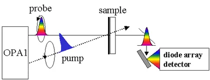 Pump–probe spectroscopy setup for ultrafast manipulation of electron spin coherence. A broadband probe and ultrafast pump pulse interact with a sample, while transmitted spectra are measured by a diode array detector to monitor femtosecond spin and optical dynamics.