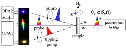 Experimental setup for ultrafast manipulation of electron spin coherence using pump–probe Kerr rotation. Optical amplifier pulses generate pump, probe, and tipping pulses that interact with a sample in magnetic field H₀, while polarization measurements track coherent spin evolution.