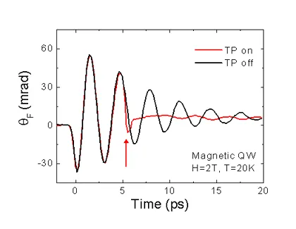 Time-resolved Faraday rotation measurements showing ultrafast manipulation of electron spin coherence in a magnetic quantum well at 20 K and 2 T. Comparing tipping pulse on and off conditions reveals abrupt phase changes and controlled modification of coherent spin precession.